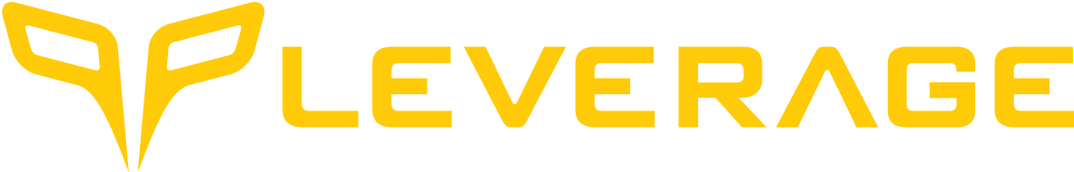 Leverage Coaching Program